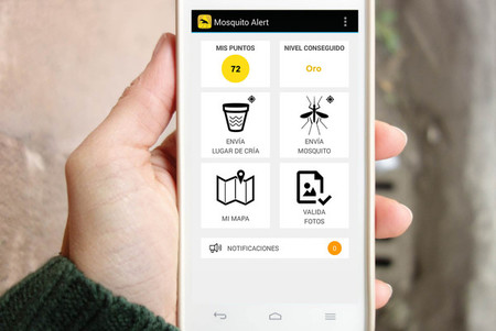 El mosquito tigre lo tiene ahora más difícil en España gracias a esta app