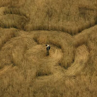 Maizales, posesiones y mucho misterio: así es El Día de la Revelación, la nueva película de ciencia ficción dirigida por Steven Spielberg