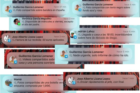Notificaciones Notificaciones