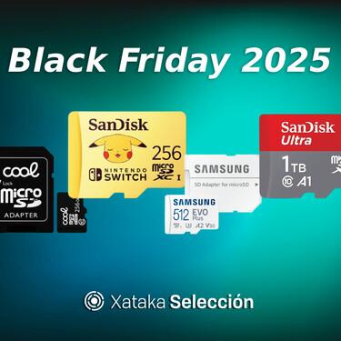 Black Friday 2025 Tarjetas Sd