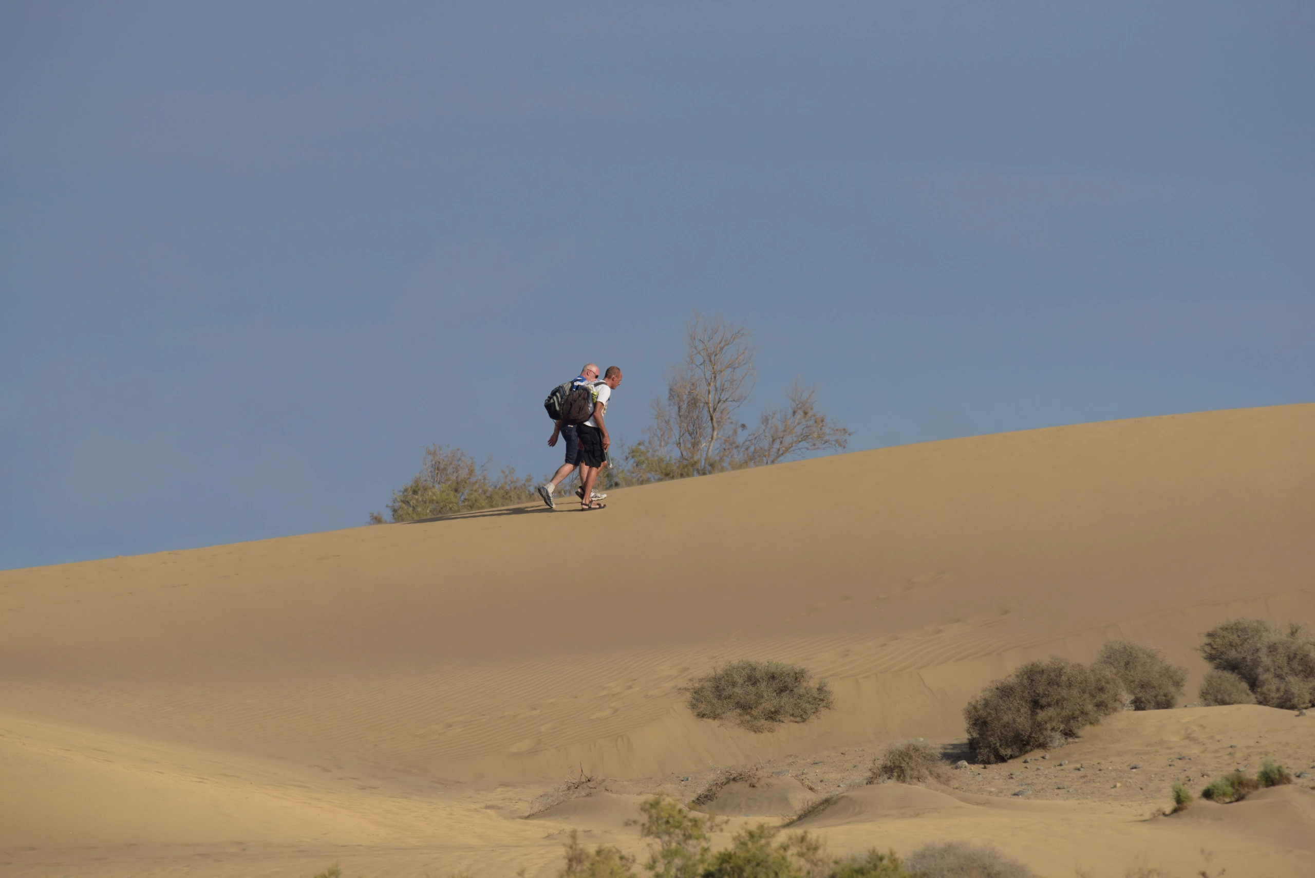 Foto de Análisis Nikon D810 (6/13)