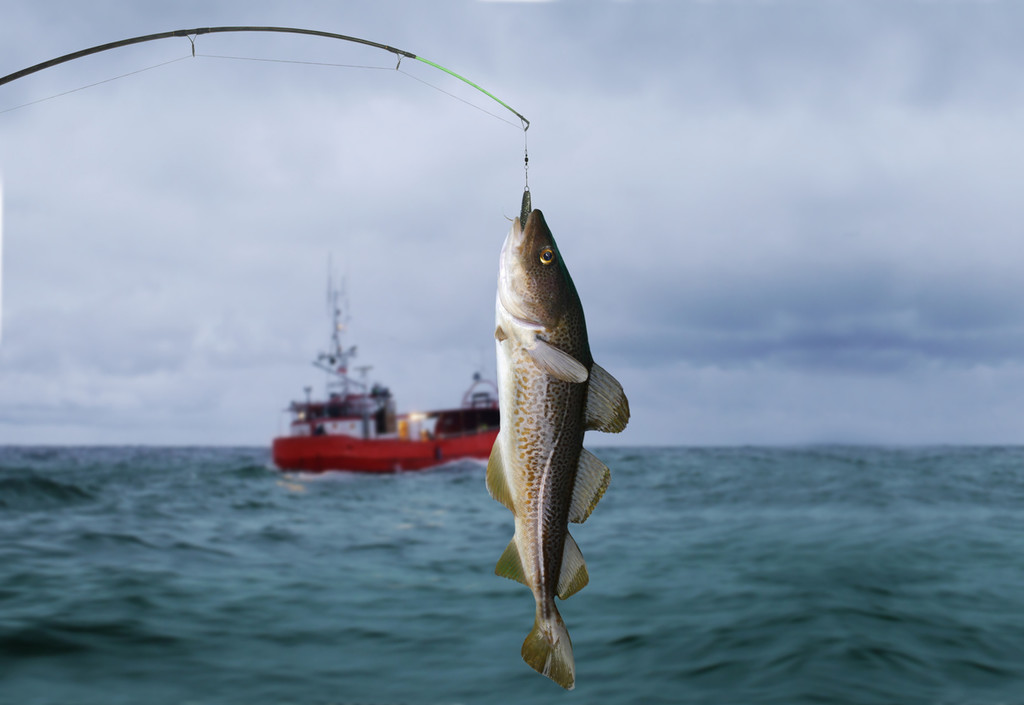 El cambio climático eleva de forma preocupante la presencia de mercurio en el pescado (y lo sabemos gracias a Michael Phelps)