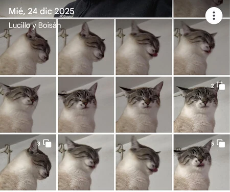 ¿Cuántas fotos navideñas de gatitos son demasiadas fotos navideñas de gatitos?