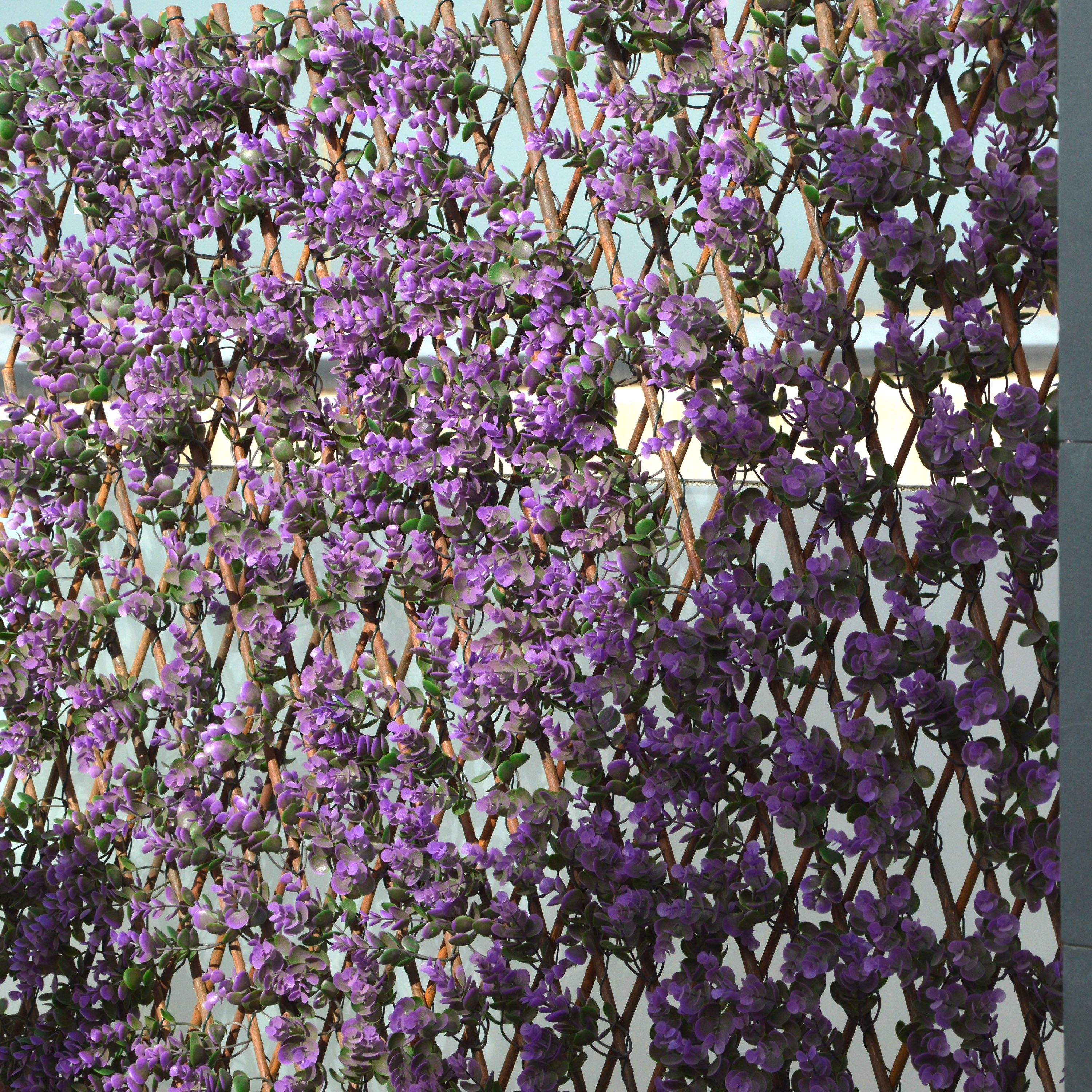 Celosía extensible de mimbre lavanda 100x150 cm
