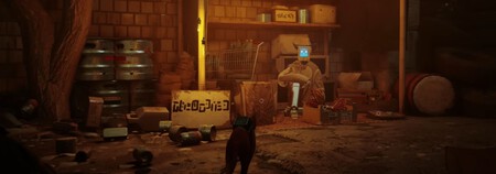 Cable Electrico Stray