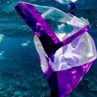Creíamos que las bolsas y los popotes eran los culpables de la contaminación oceánica. La basura que llena el Pacífico viene de una industria distinta 
