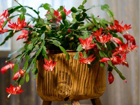 Copia De Plantilla 1200x900 12