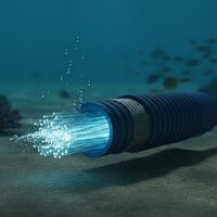 Tocado y hundido el cable submarino de fibra óptica con el que nació el Internet que conocemos hoy en día. Toca decirle adiós 