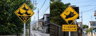 Japón tiene una señal de tráfico que no existe en España: el gato volador