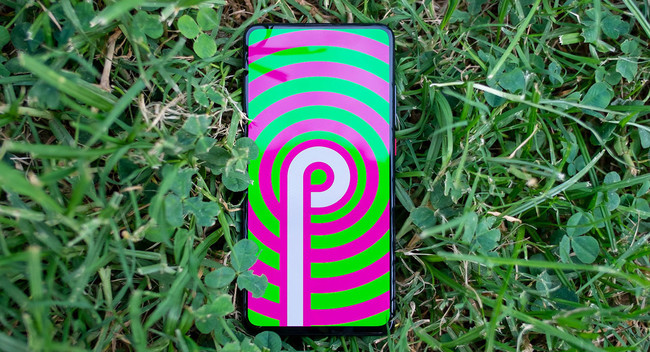 Pixelz