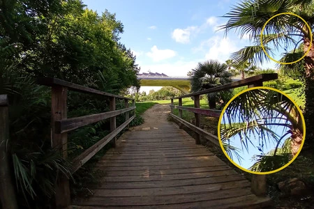 超広角はエッジを適切に補正しますが、わずかな曲率を残し、写真をより魅力的にします。