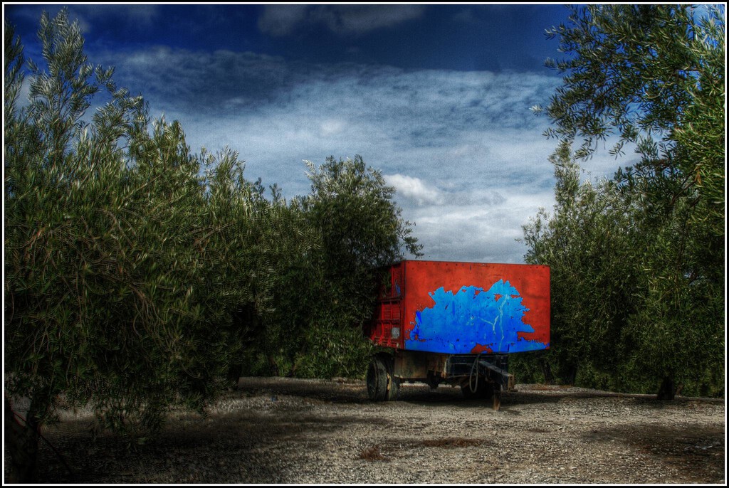 Hace diez años, Jaén pensó que el olivar andaluz se merecía ser Patrimonio de la Humanidad. No sabían el lío en el que se metían