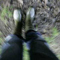 Por qué nos mareamos al viajar y cómo prevenirlo