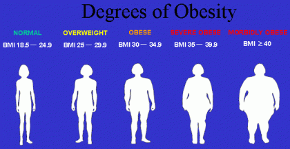Obesidad: un coste más, oculto y creciente