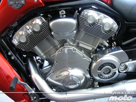 H-D V-Rod Muscle