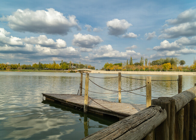 Lago