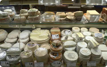 Cómo se hace el queso sin lactosa