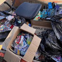 Pensaba que era basura, pero lo que encontró fueron montones de cartas de Pokémon en perfecto estado