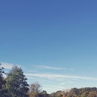 La jubilación del autónomo continúa siendo bastante difícil; los asalariados se retiran de media cinco años antes 