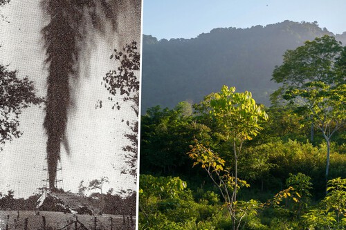 Imagens | EFOFAC, Wilfredor
