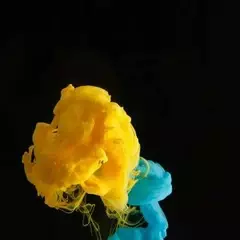 Foto 33 de 45 de la galería abstractos en Xataka Móvil