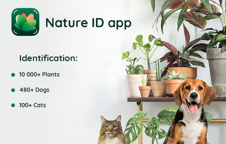 NatureID, o cómo reconocer la especie o raza de más de 10.000 plantas, 480 perros y 100 gatos con solo una foto