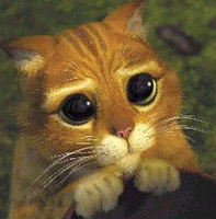 Cuentos y música al aire libre en Madrid