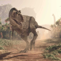 Por años creímos que el T. rex era originario de América. En realidad su linaje vino de Asia para convertirse en uno de los mayores depredadores del planeta 