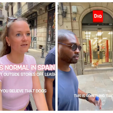 Estos guiris flipan con lo que España hace con los perros en los supermercados: "En Estados Unidos sería impensable" 
