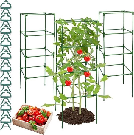 Tomatera MQHUAYU