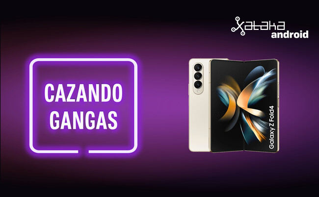 Cazando Gangas