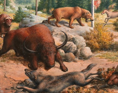 Thumb 21946 Portadas Big