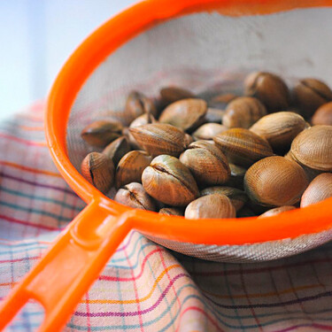 Cómo se limpian las almejas: la técnica básica para eliminar eficazmente toda la arena