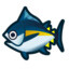 Tuna