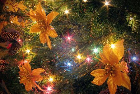 Se acercan las navidades, regalos interesantes para todo fotógrafo