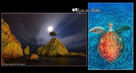 Hablamos con Jordi Chias y Miquel Ángel Artús Illana, premiados en los Wildlife Photographer of the Year 2012