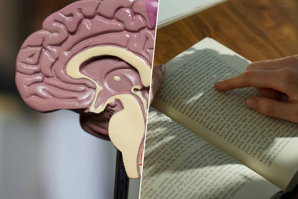 Dejamos que la IA nos resuma los textos y escriba los correos: es un grave error según el último estudio sobre el Alzheimer 