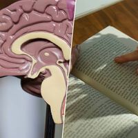 Gracias a la IA ya podemos dejar de leer y de escribir tanto como solíamos. Según la ciencia es lo peor para el Alzhéimer