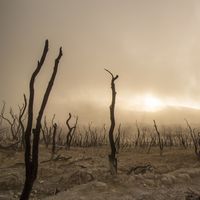 La disidencia china emerge también en el mundo económico, ¿Qué es lo que tanto les aterra?