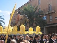 Domingo de Ramos en Elche