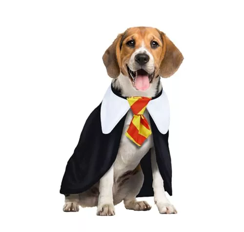 Disfraz Perro Mago. Disfraces para Perros Pequeños Medianos O Grandes. Disfraz Mascota O Disfraz Gato. Deja Que Tu Fiel Amigo Hechice El Carnaval. La Pócima Estilo Encantador. (Small)