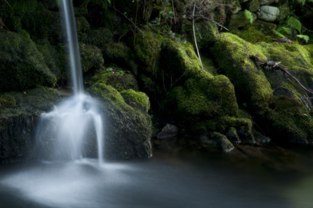 No, el agua no cambia en función de las emociones positivas o negativas