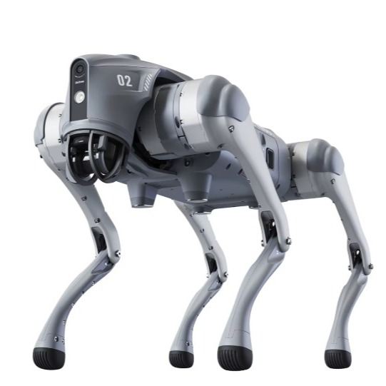 Unitree Go2 Robot Dog