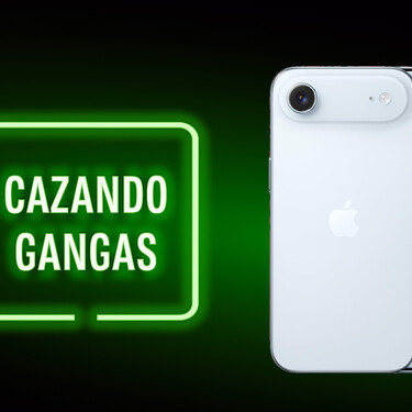 Cazando Gangas