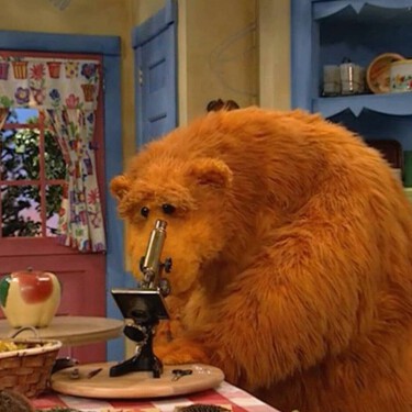 'El oso de la casa azul'