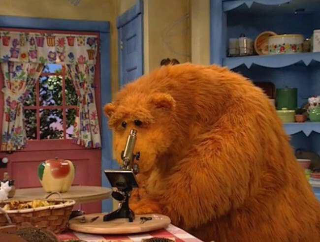 'El oso de la casa azul'