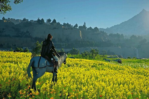 Su mundo abierto de 82 kilómetros promete libertad pero hay algo que no puedes hacer en Crimson Desert, y los jugadores se lo toman a broma. "Así es injugable"
