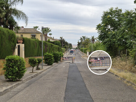 Imagen tomada con el sensor principal (12 MP, zoom x2) | Imagen: Xataka