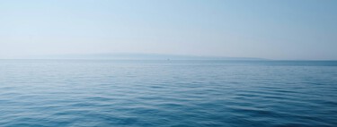 Espécimes marinhas estão desaparecendo antes mesmo que cientistas consigam encontrá-las