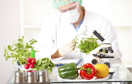 ¿Son seguros los alimentos transgénicos? Esto es lo que nos dice la ciencia
